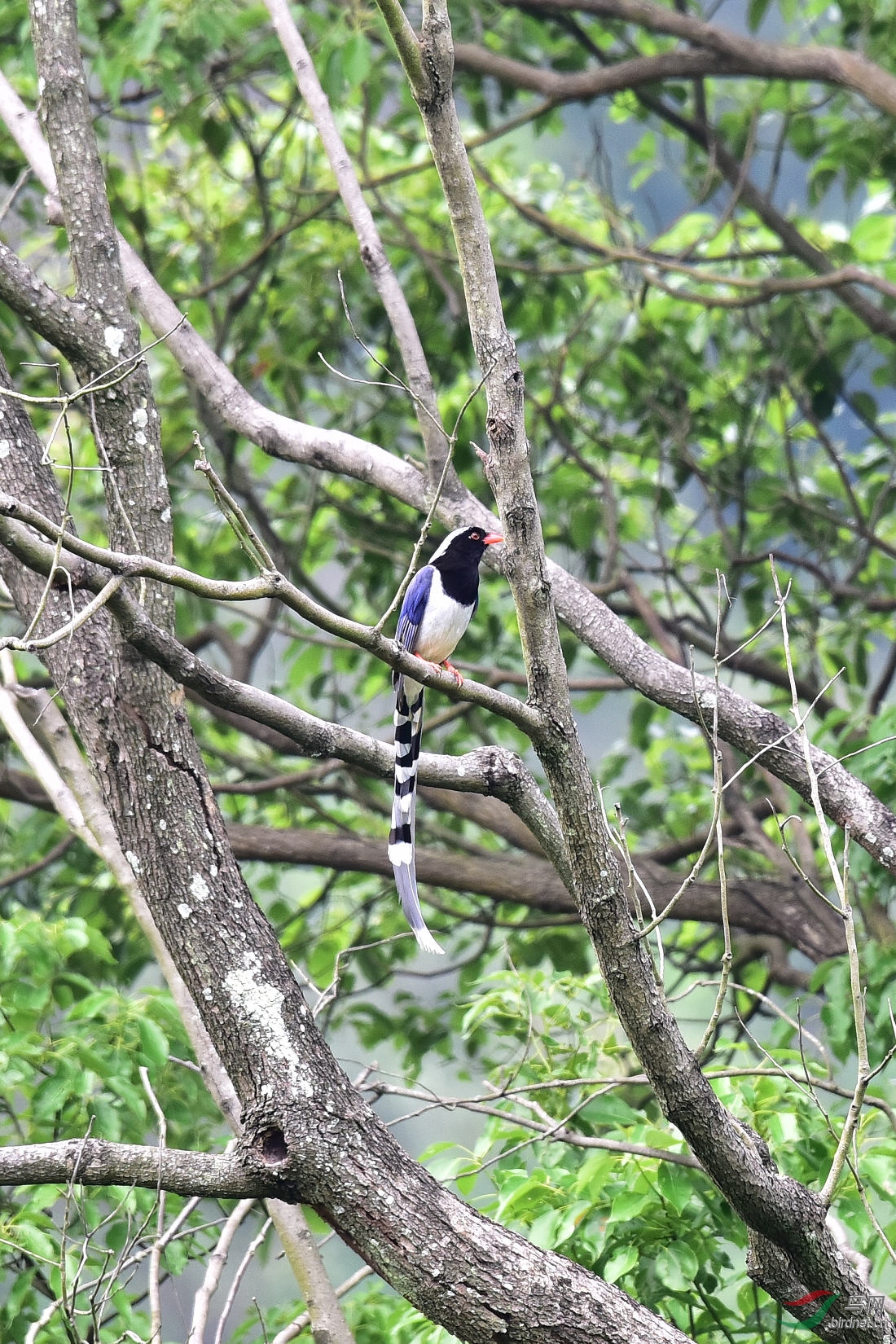 DSC_0843.JPG