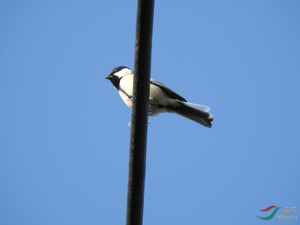 DSCN5177.JPG.jpg