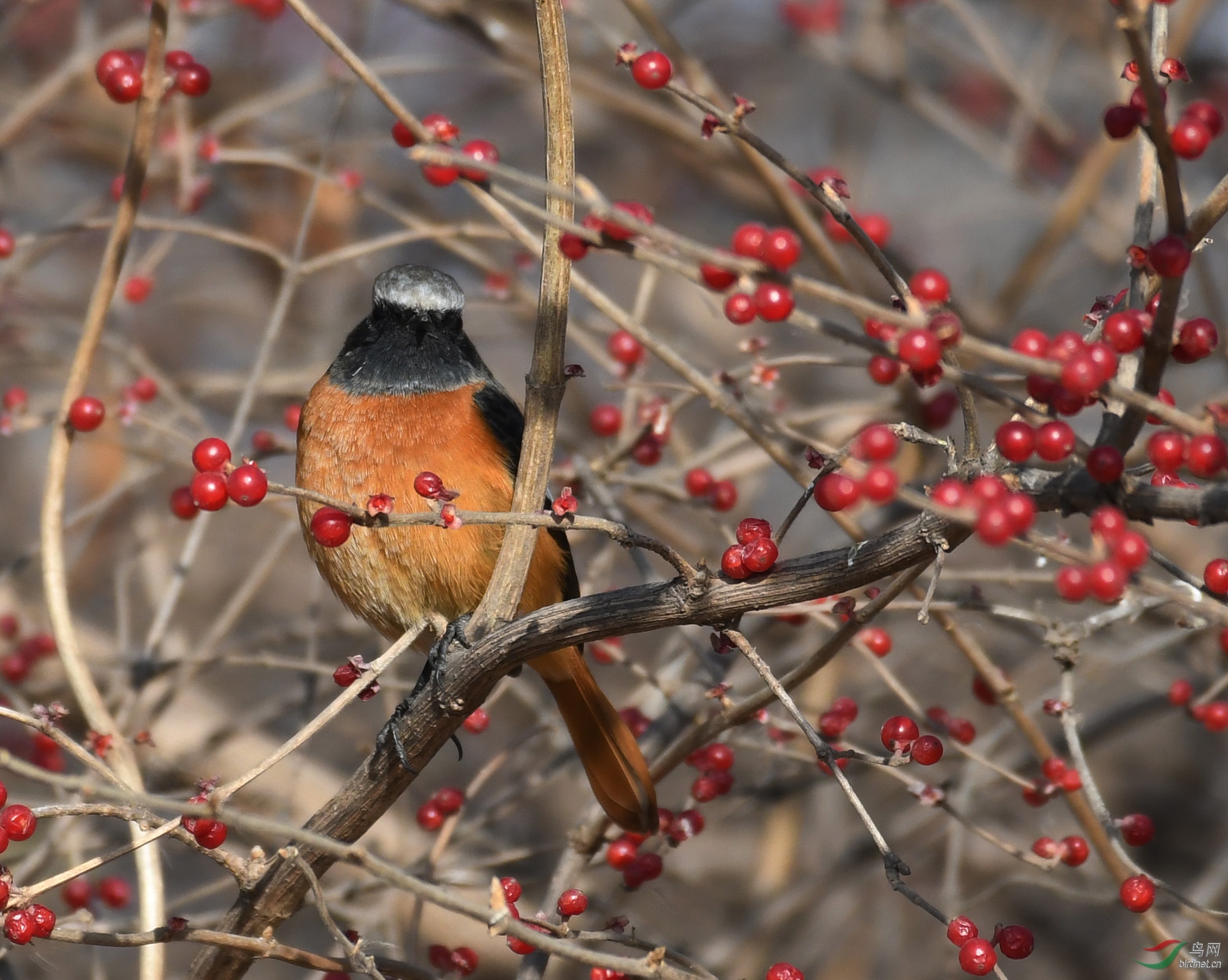 ������Ӱ 1298����.jpg