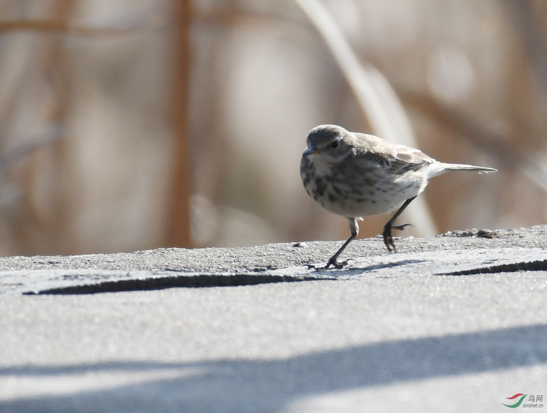 ������Ӱ 1349����.jpg