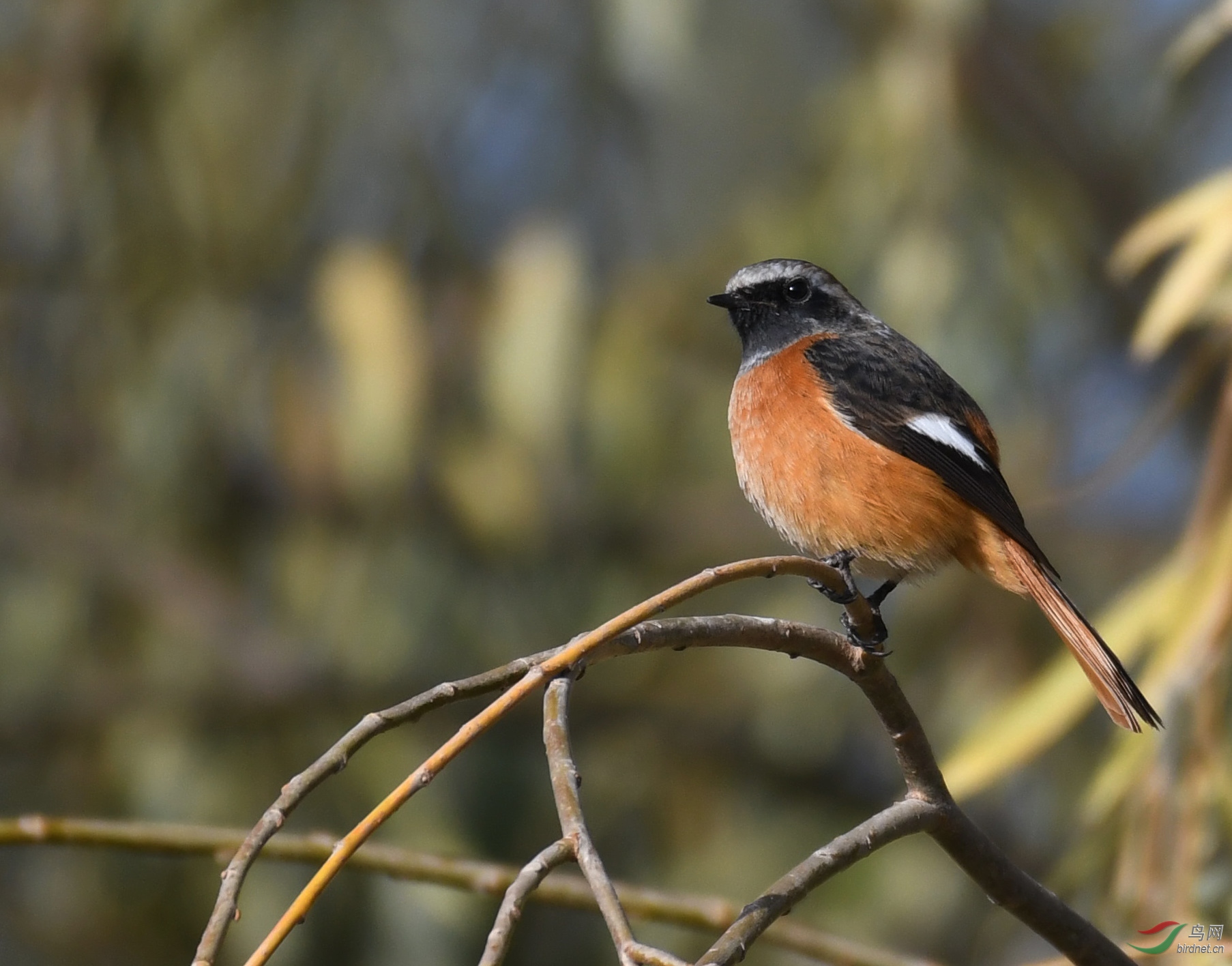 ������Ӱ 1320����.jpg