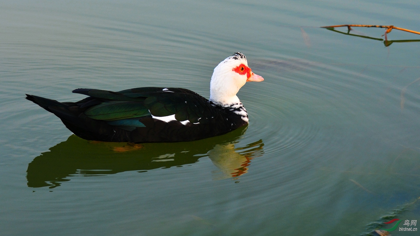 DSC_4076.JPG