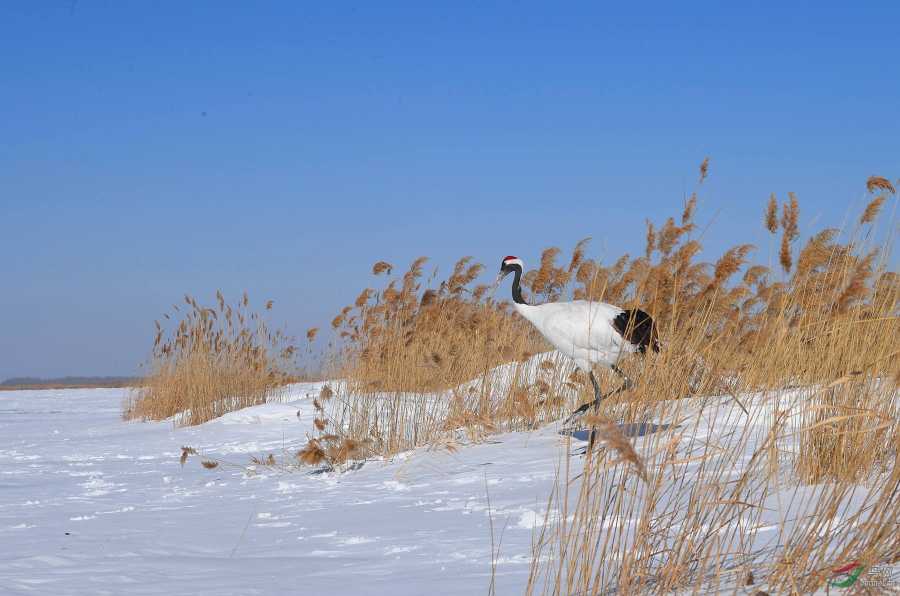 DSC_6638_����.jpg
