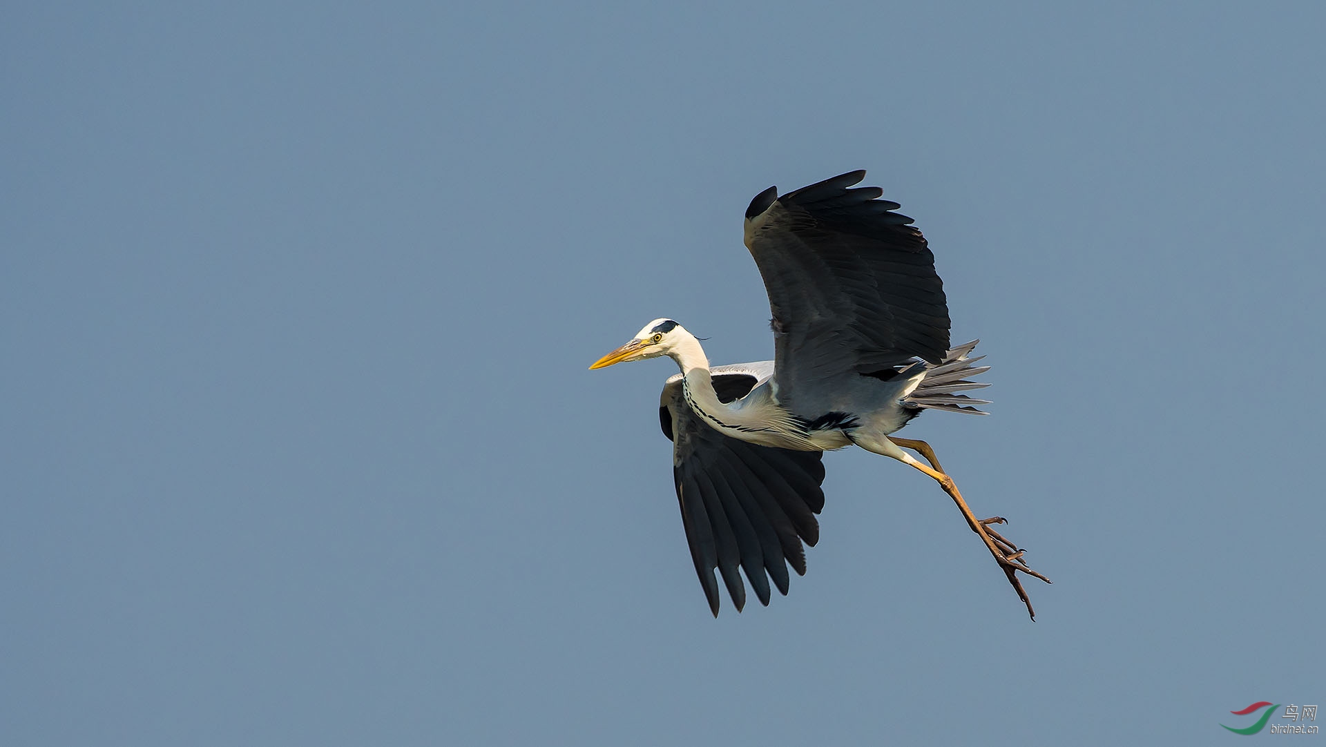 DSC_5577.jpg