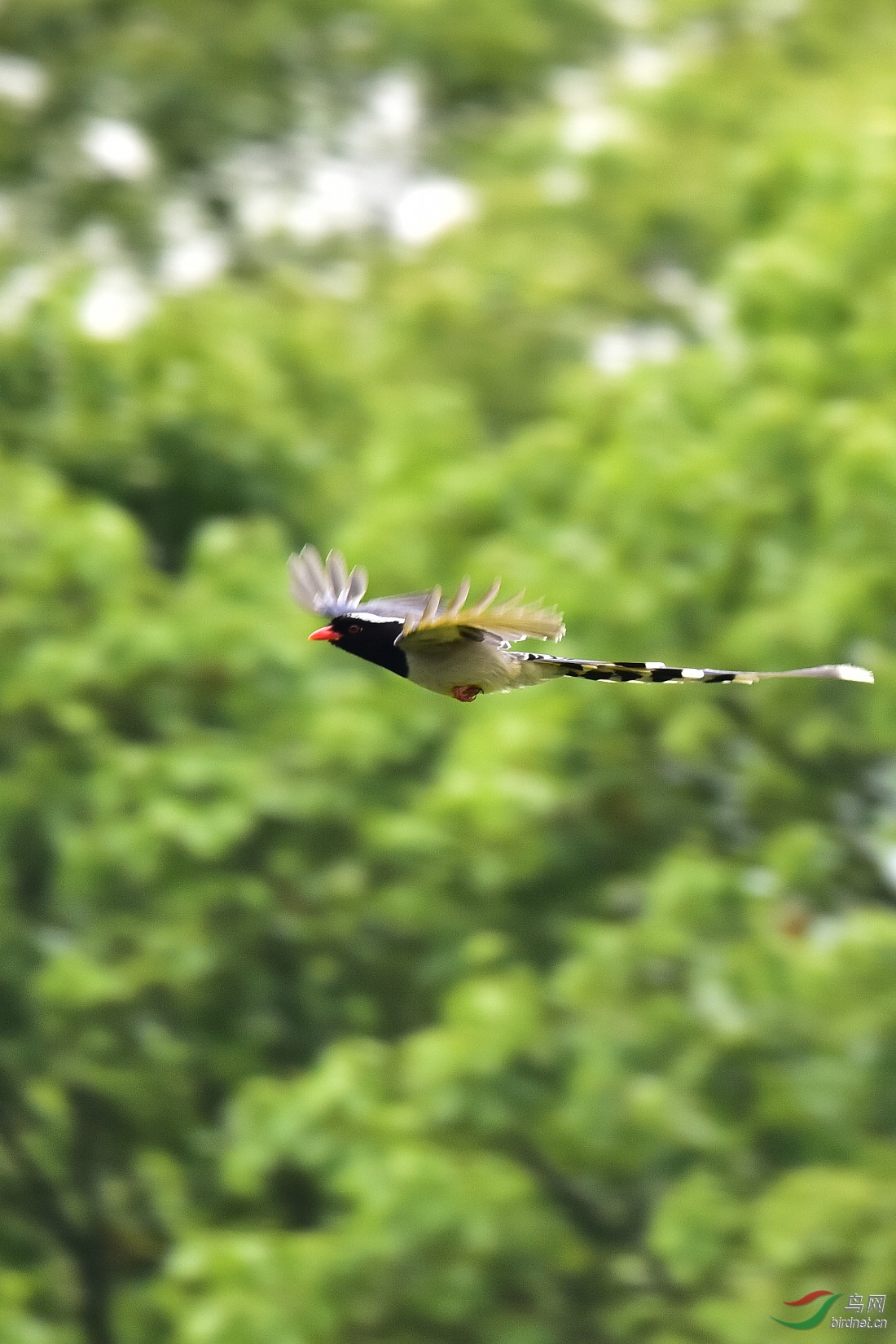 DSC_0846.JPG