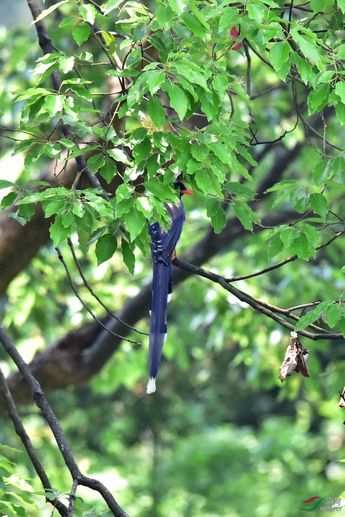 DSC_0848.JPG
