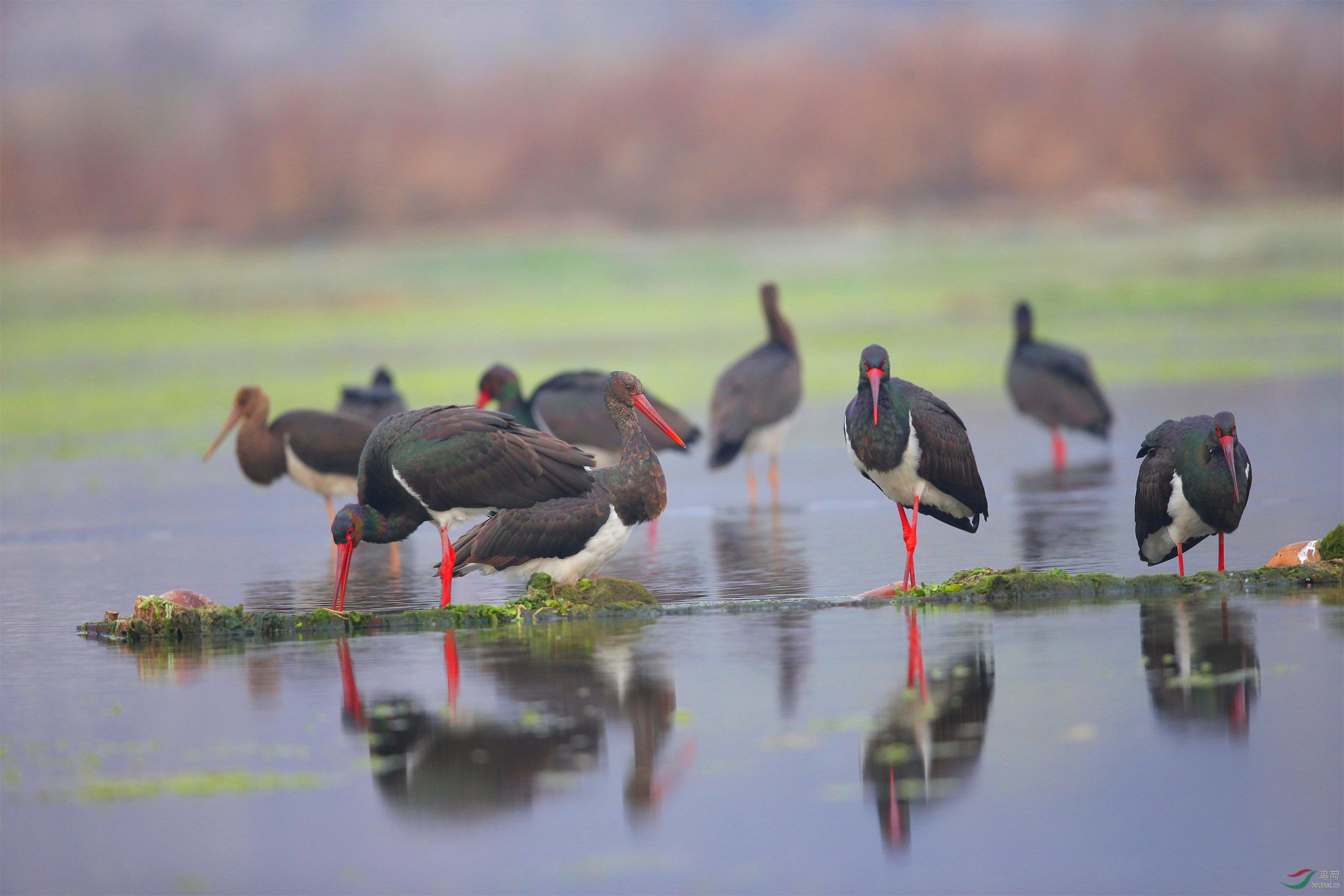 A21I9490_��ͼ��.jpg