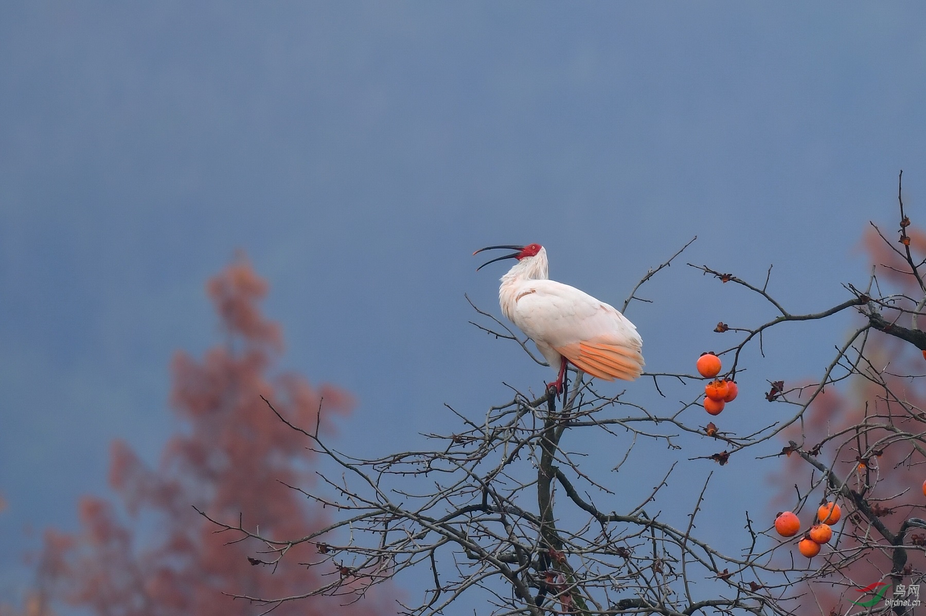 DSC_6308v03.jpg