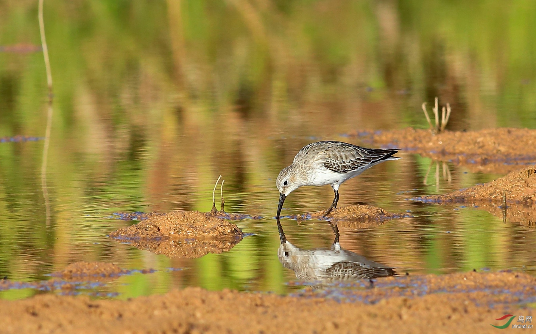 2019-11-17 15-28-40 (2).JPG