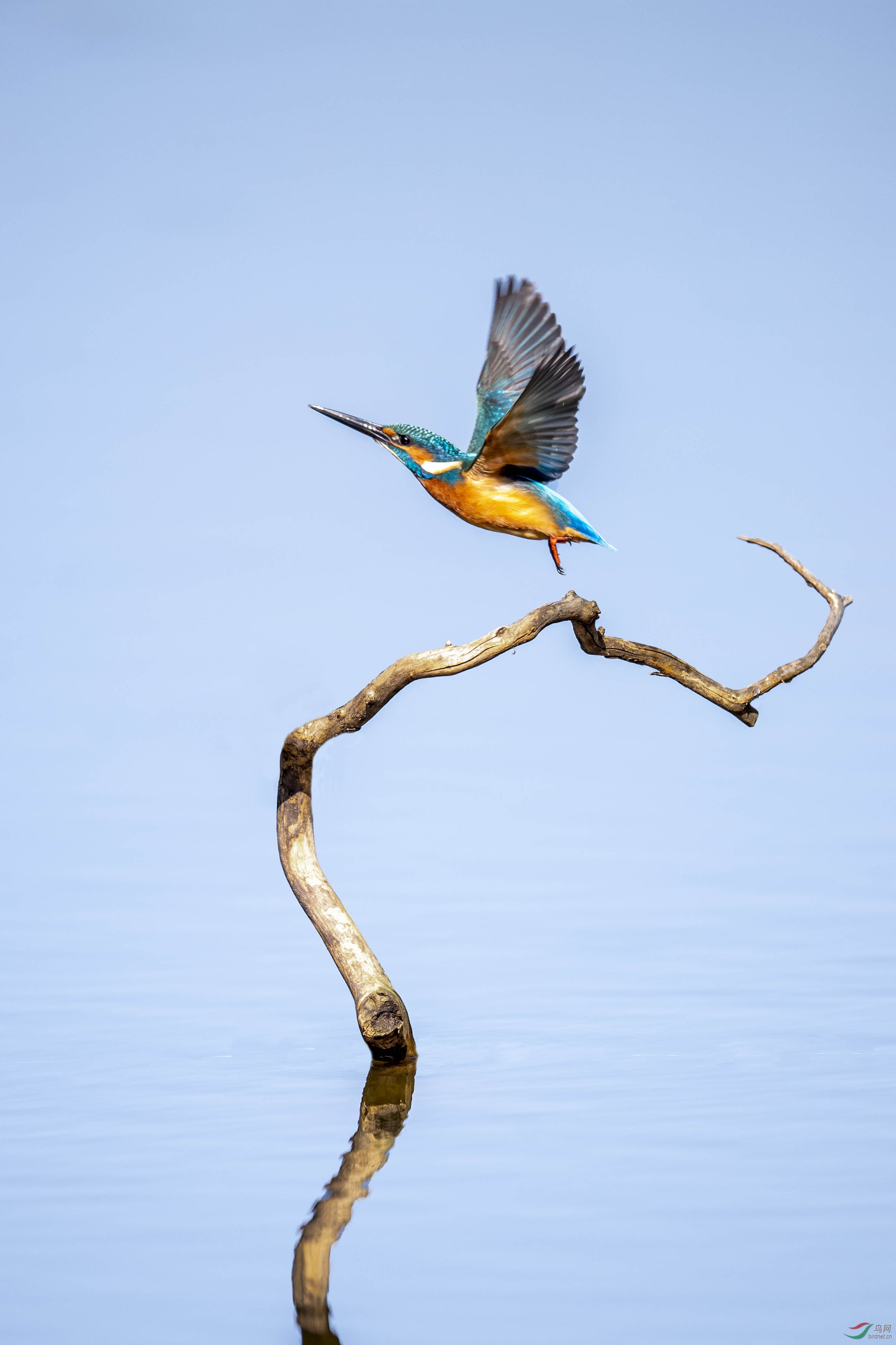 DSC_7356.1.jpg