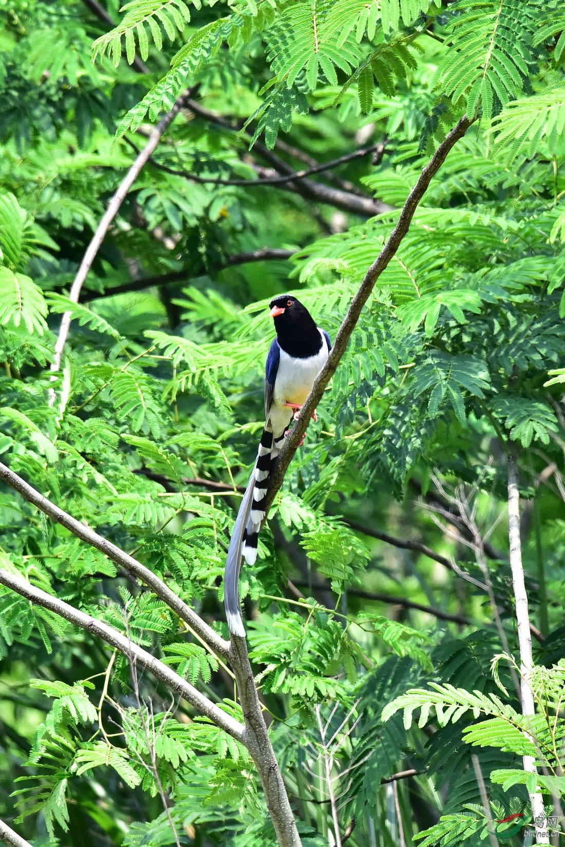 DSC_0857.JPG