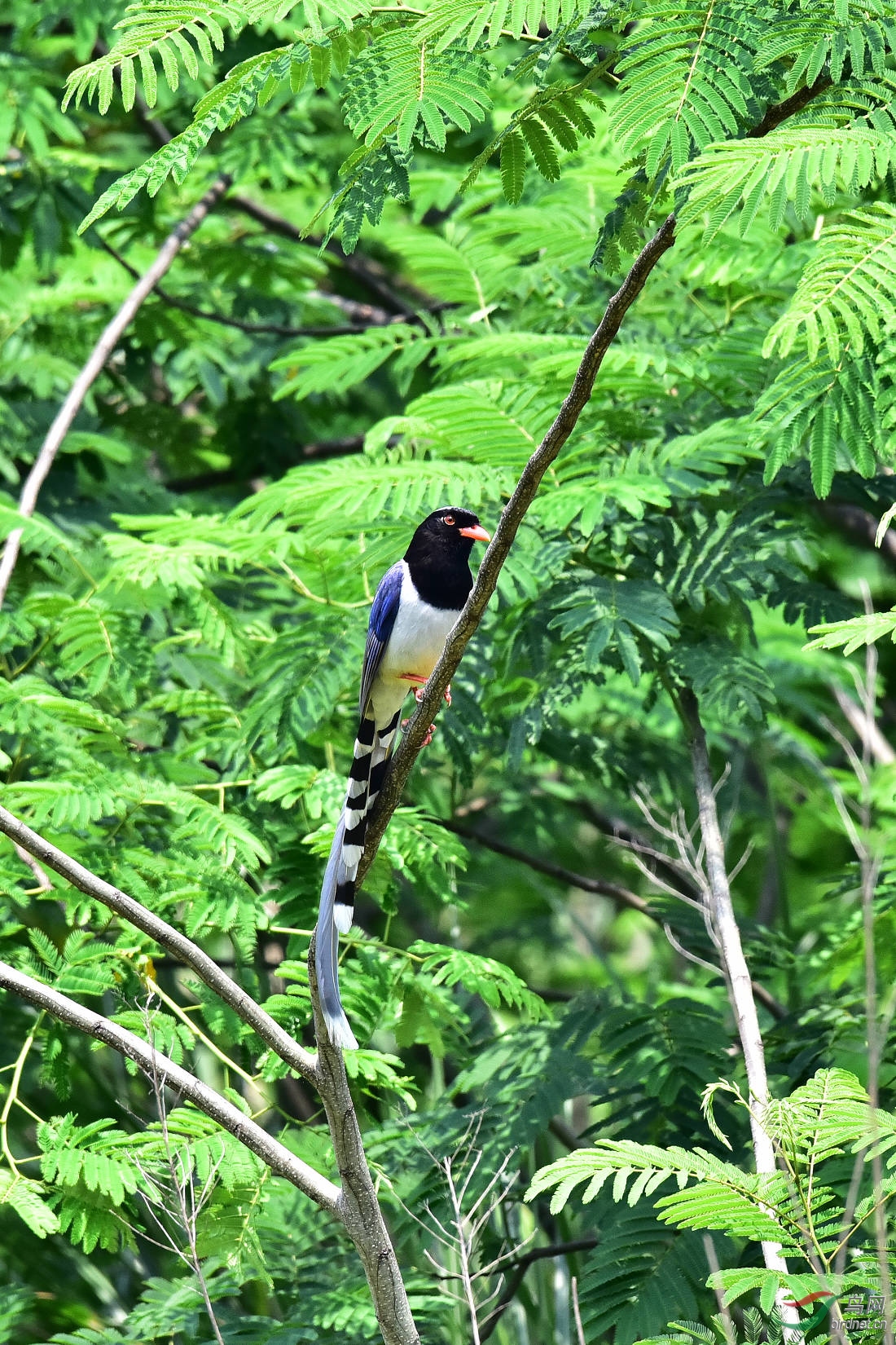 DSC_0862.JPG