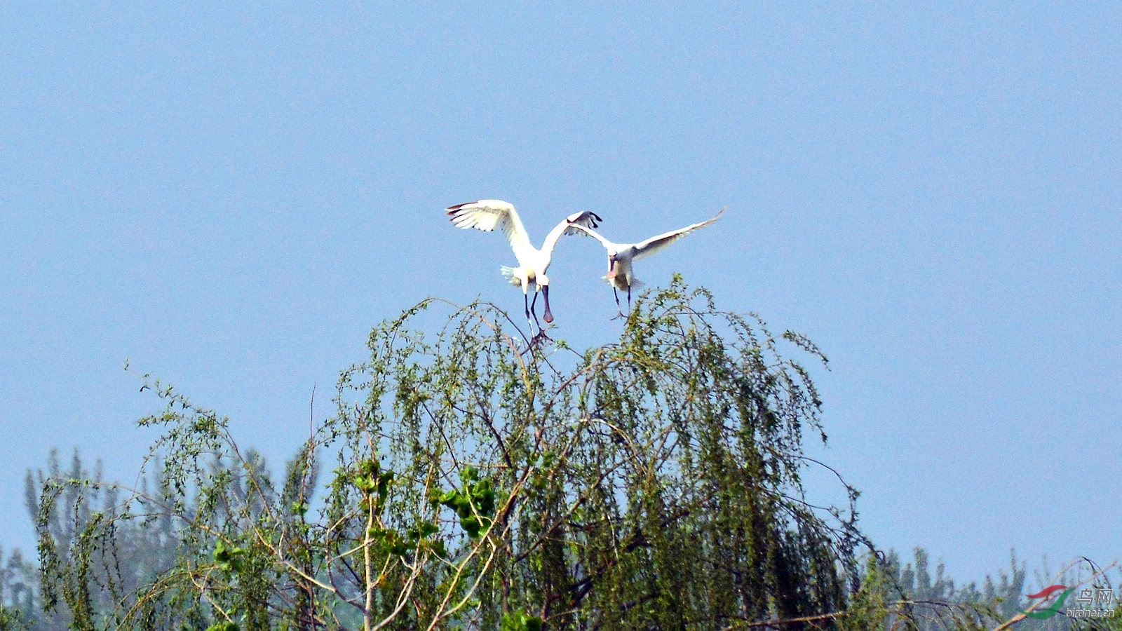 DSC_6361.JPG