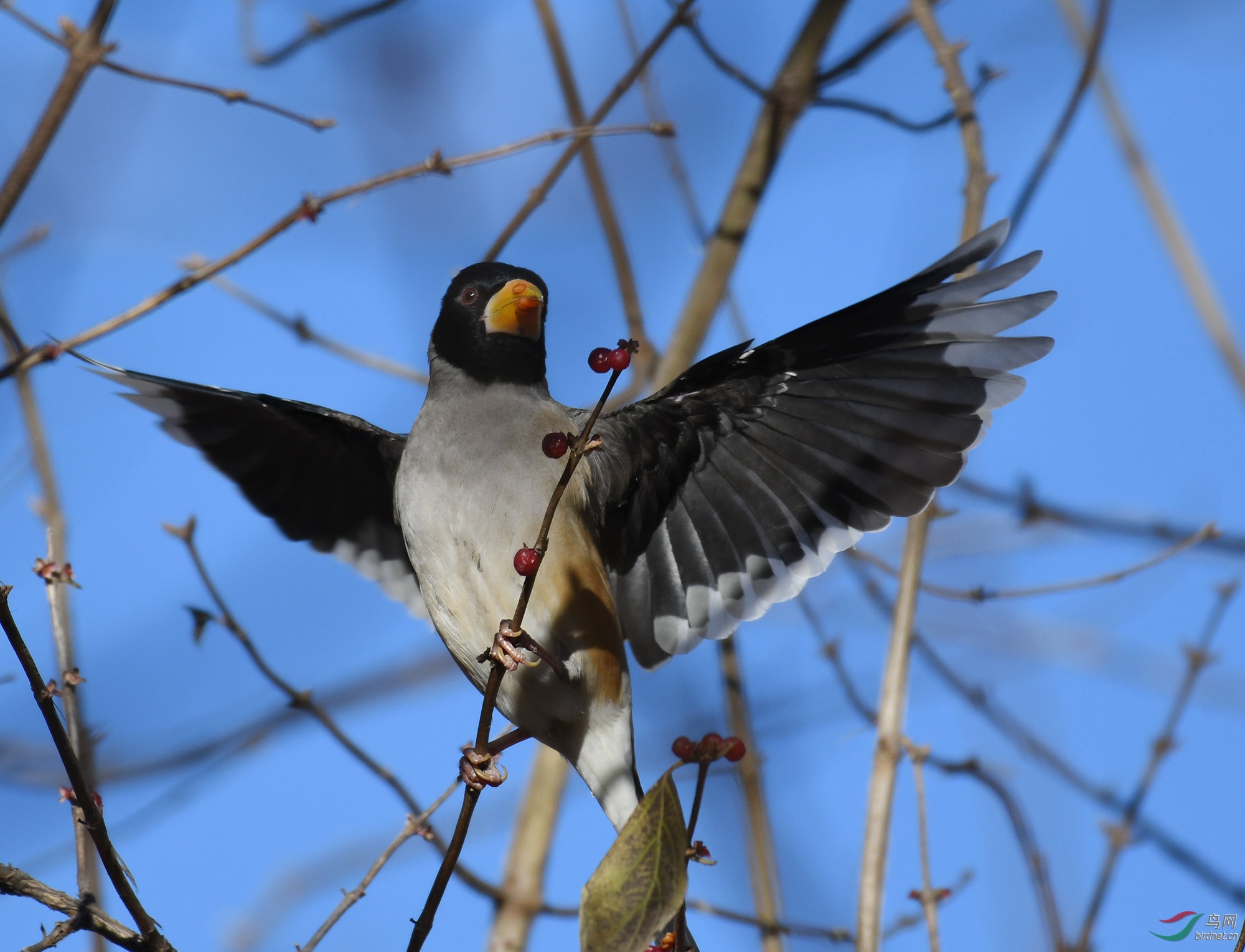 ������Ӱ 1353����.jpg