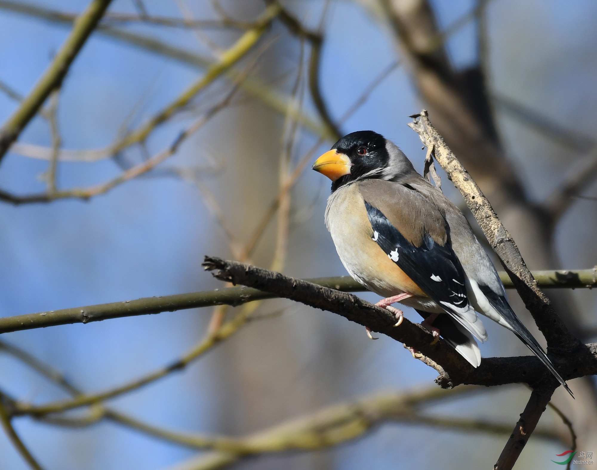 ������Ӱ 1640����.jpg