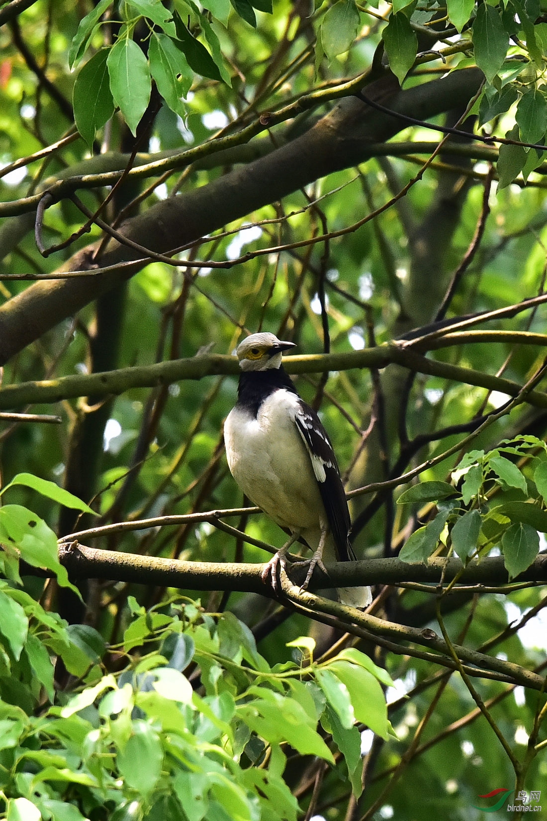 DSC_0433.JPG