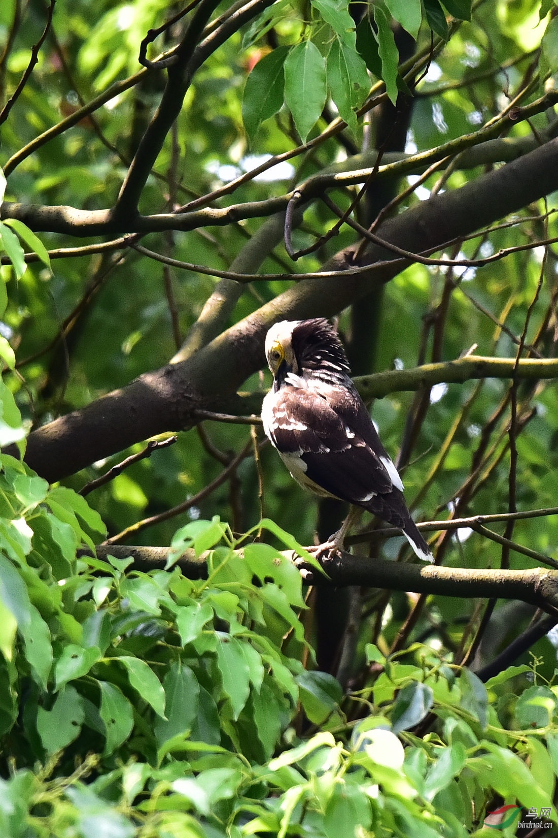 DSC_0434.JPG