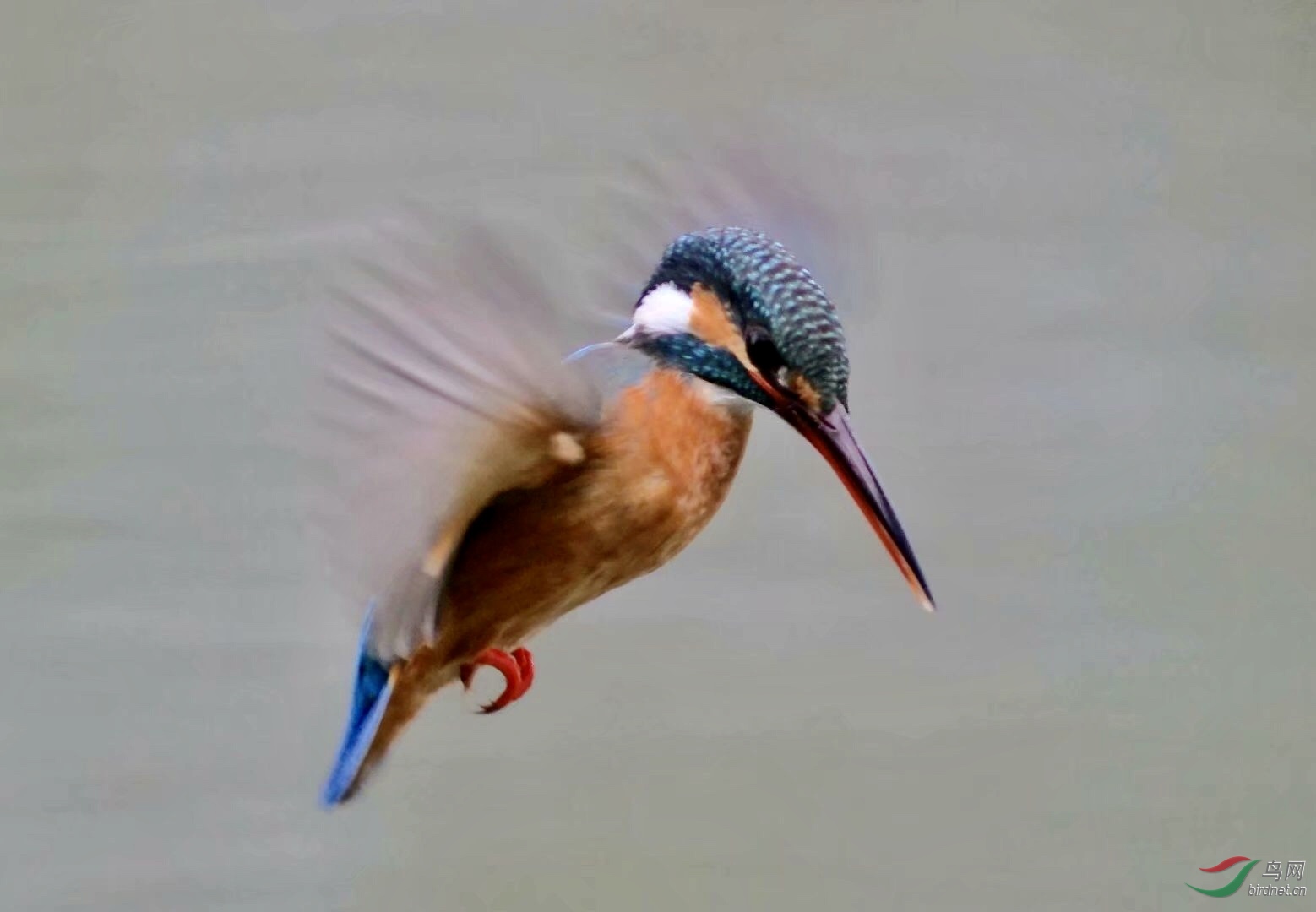 2740F370-6B1C-444F-B2C9-7D0B1A4018FF.jpeg