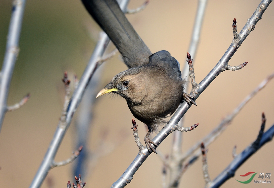 DSC_9125 m��.jpg