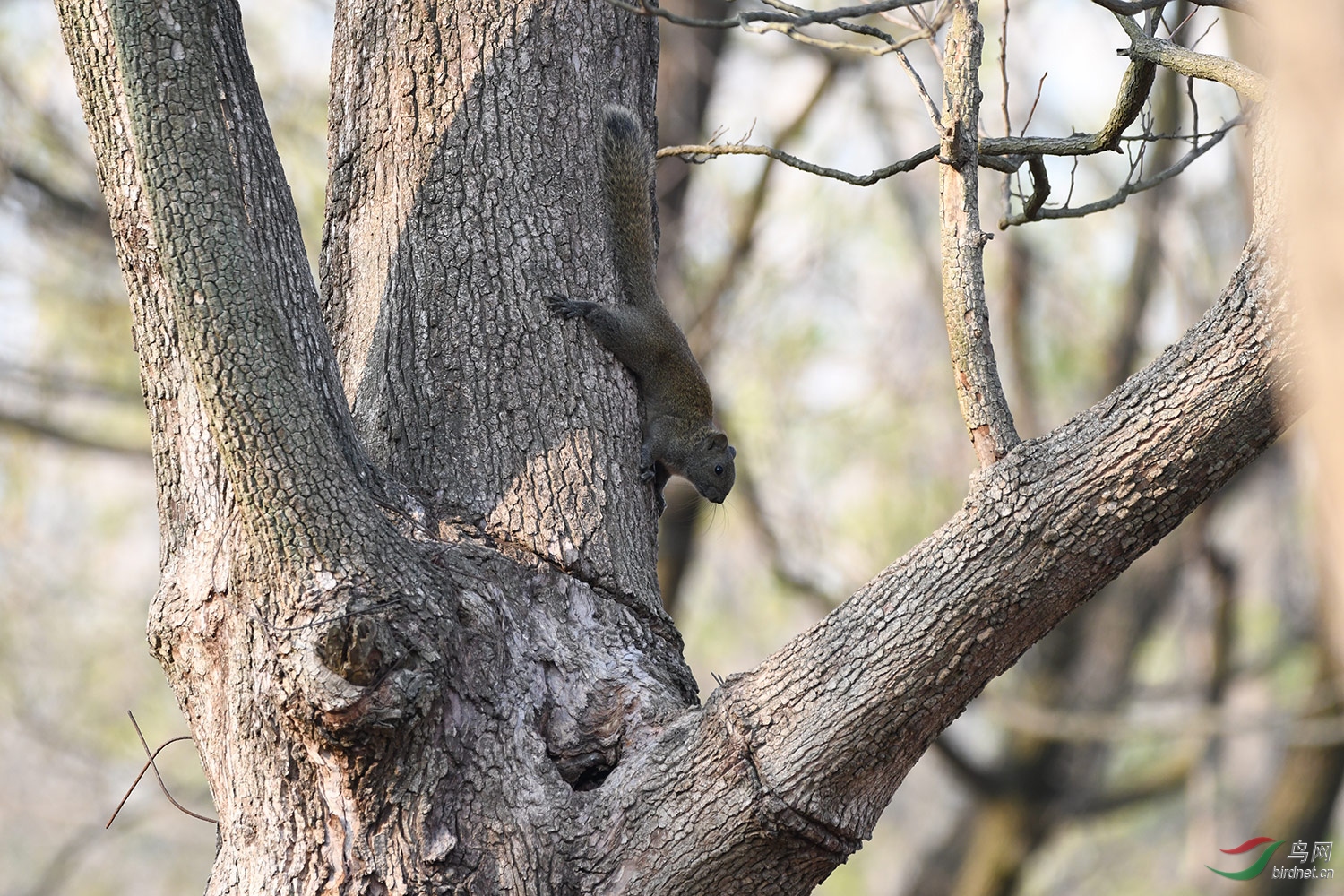 DSC_0996.jpg
