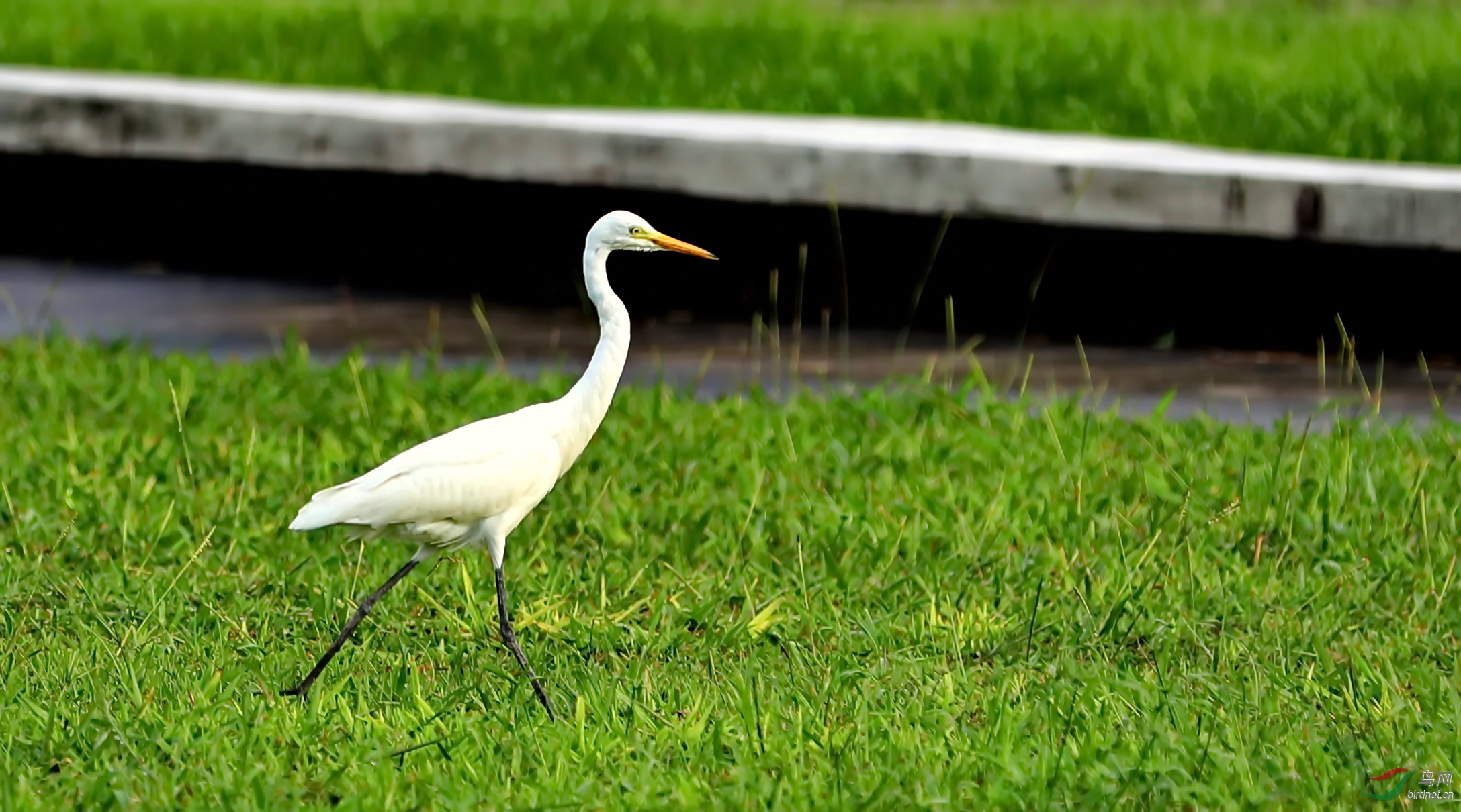 BK2A3412.JPG