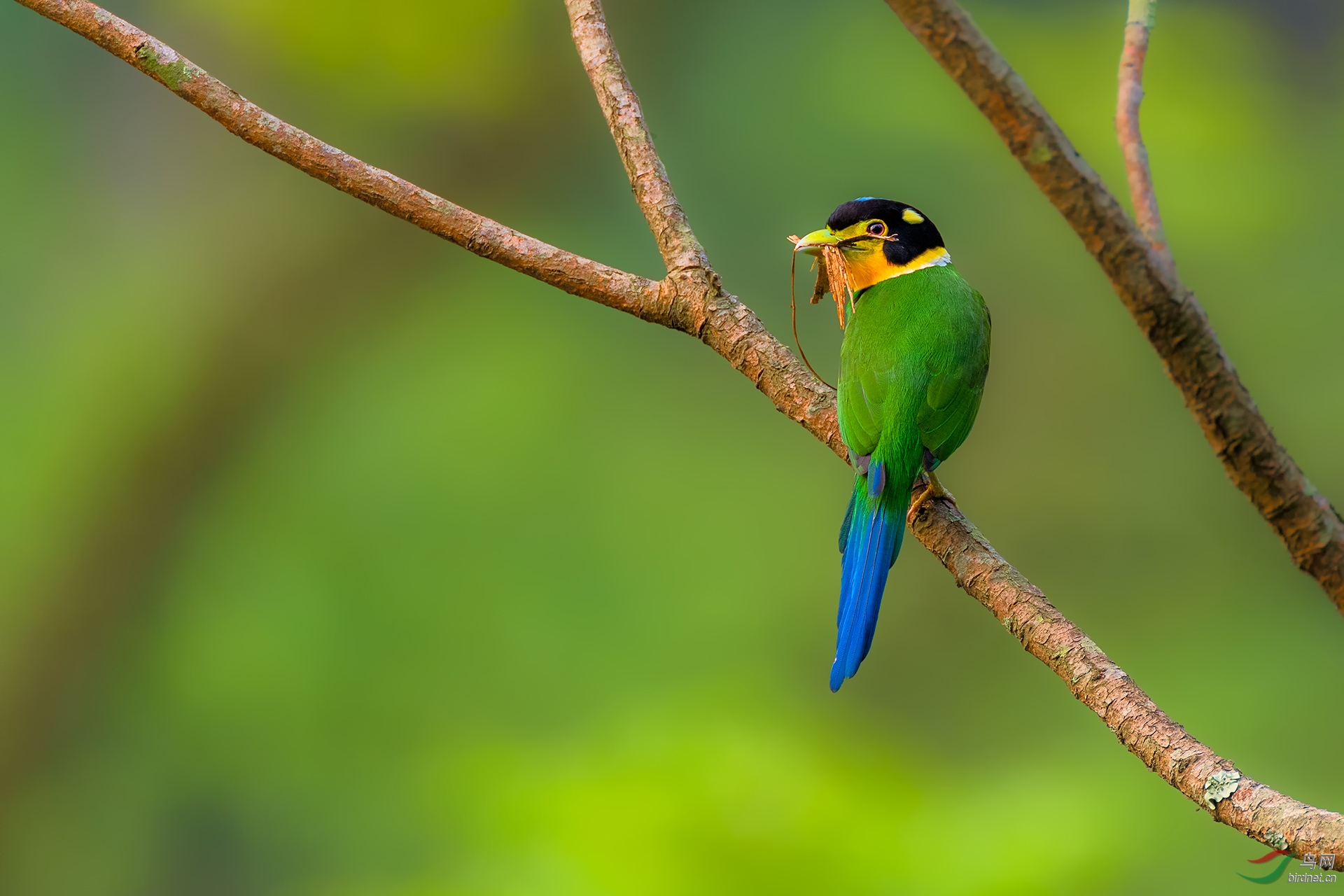 _DSC3339-1.jpg