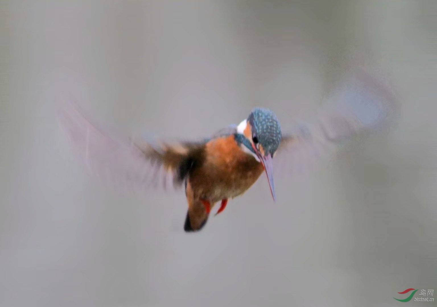 77468814-8760-4B97-A8E0-482B0F4E73A3.jpeg