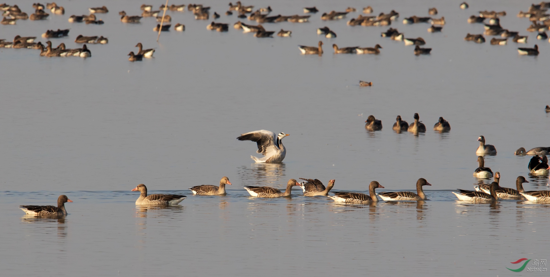 ���������������