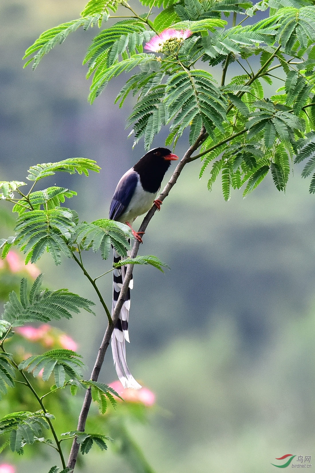 DSC_0869.JPG