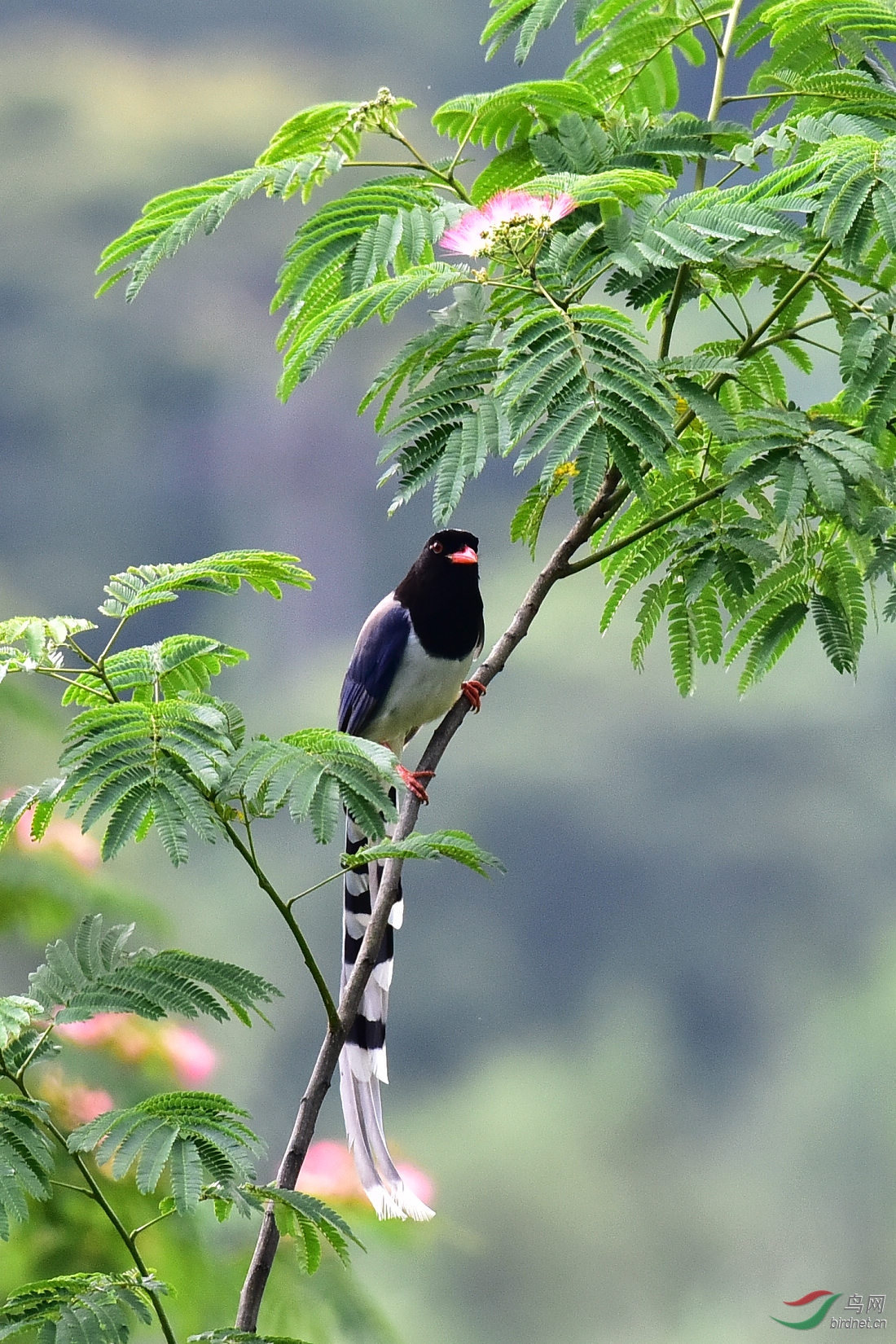 DSC_0870.JPG
