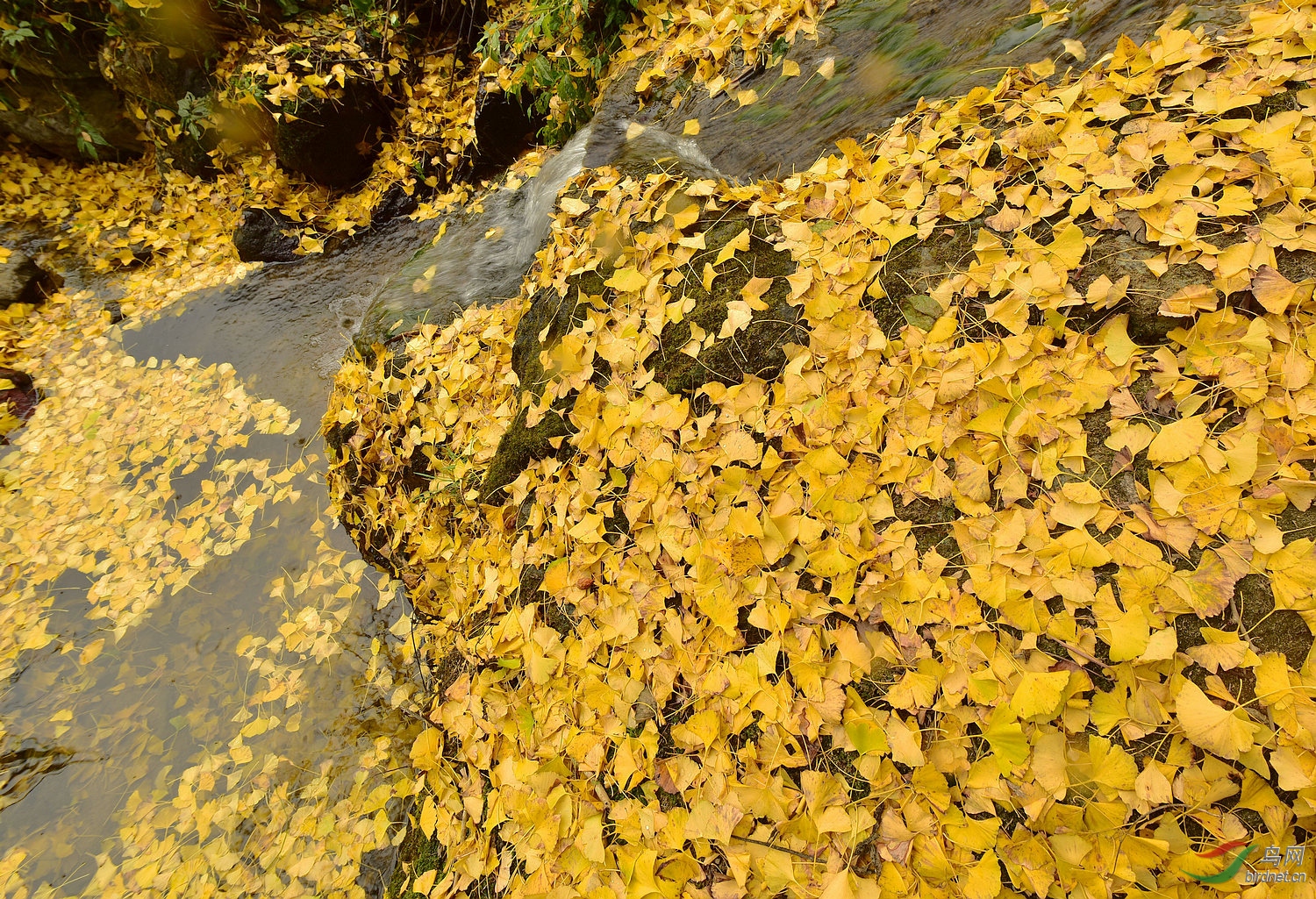 D8I_0914.jpg