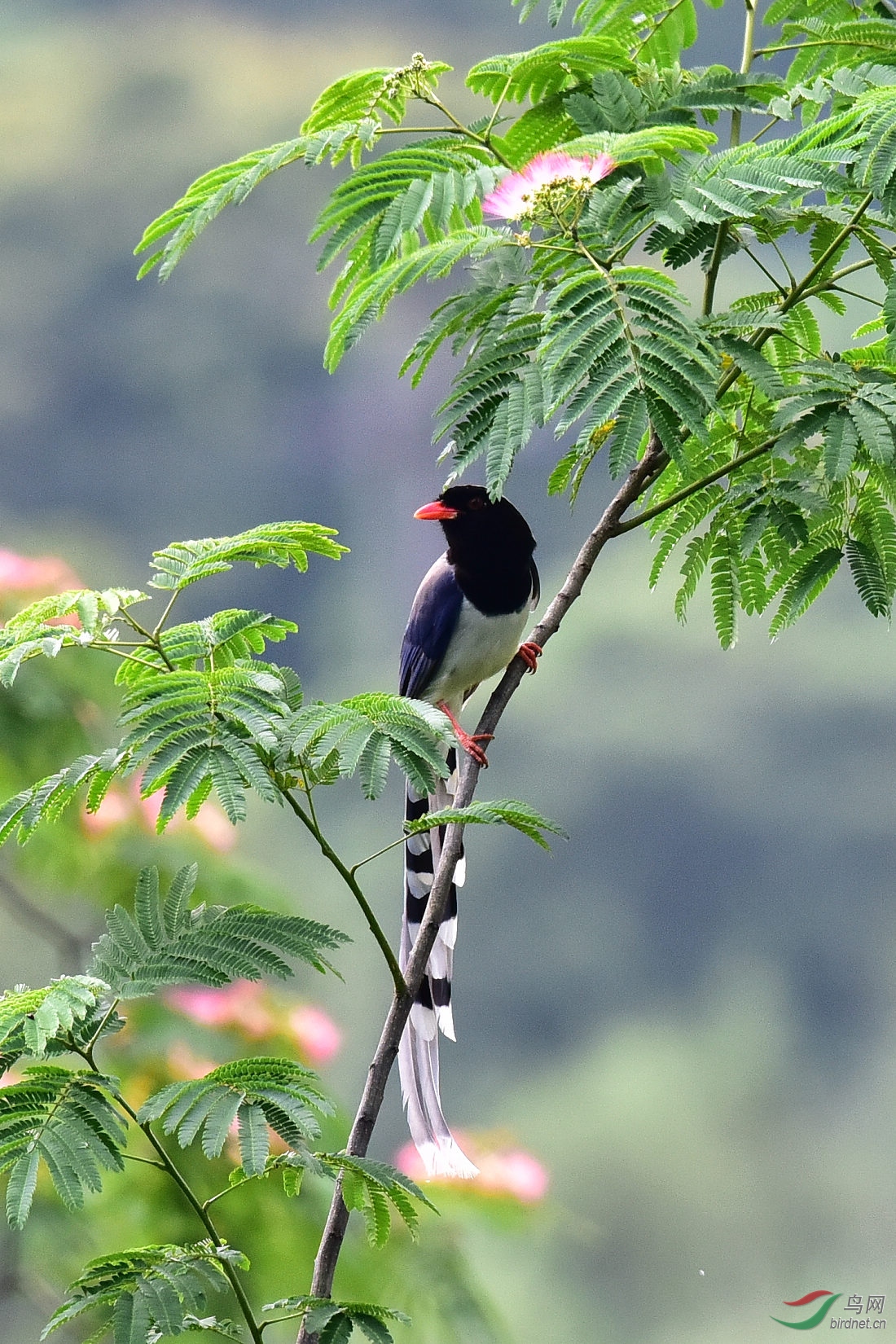 DSC_0872.JPG