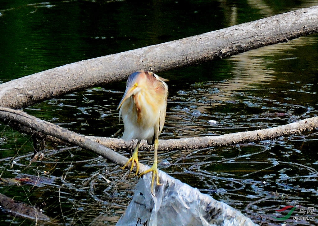 DSC_5877.JPG