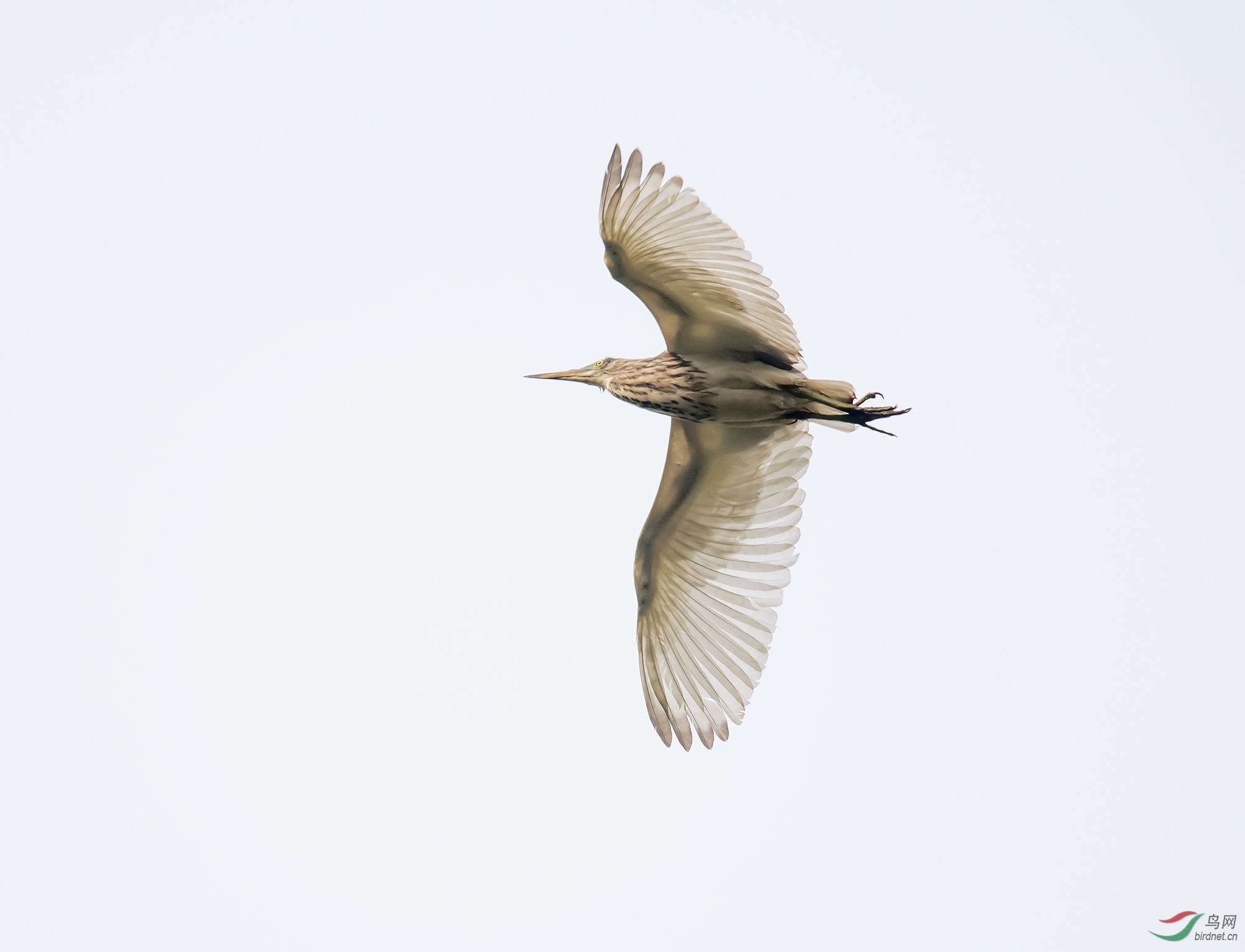 DSC_7394.jpg