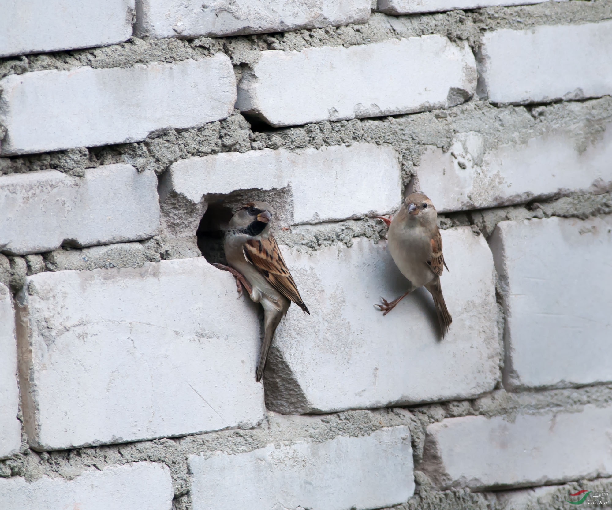 DSC_0734.jpg