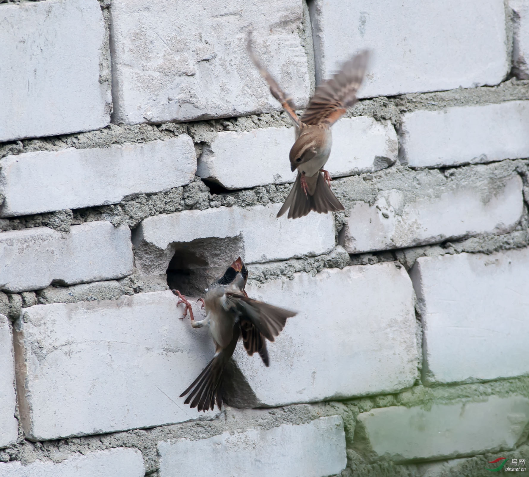 DSC_0671.jpg