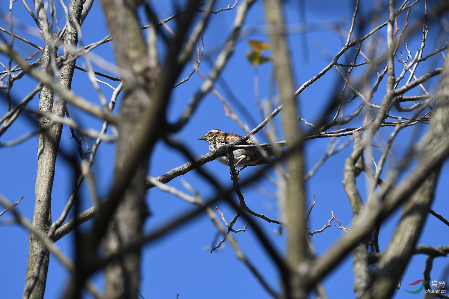 DSC_1125.jpg