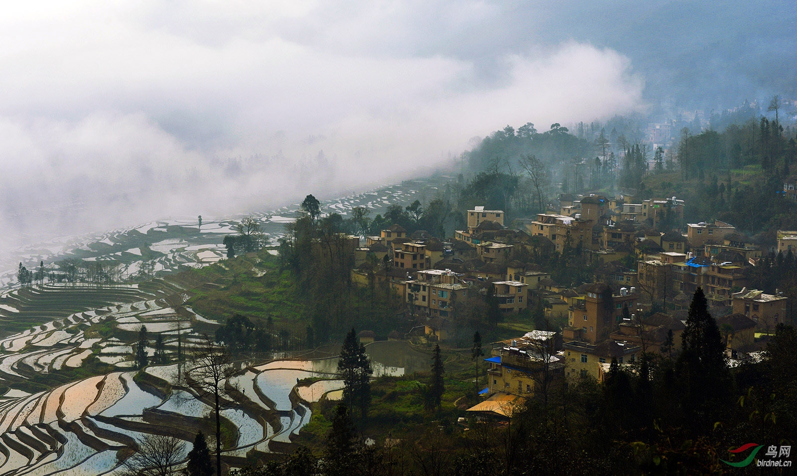 DSC_7566b.jpg