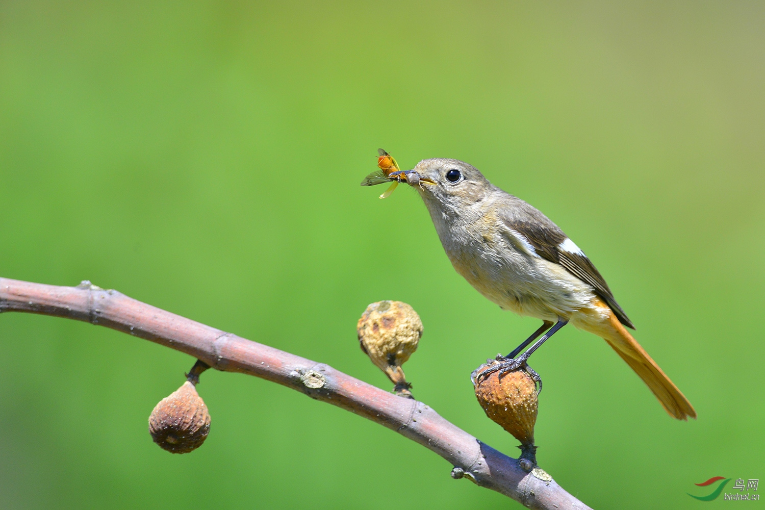 _D8A0001_8429a.jpg