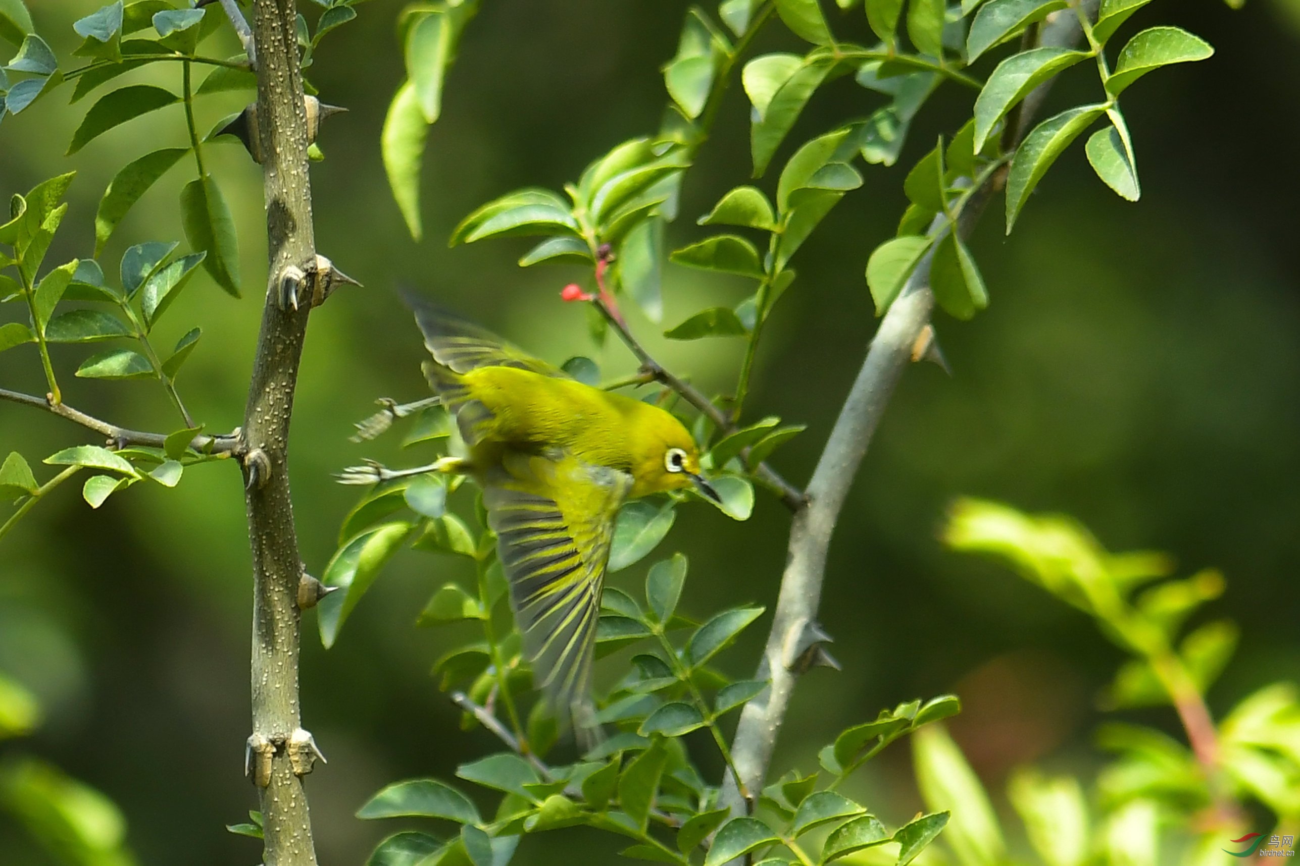 DSC_9656.JPG