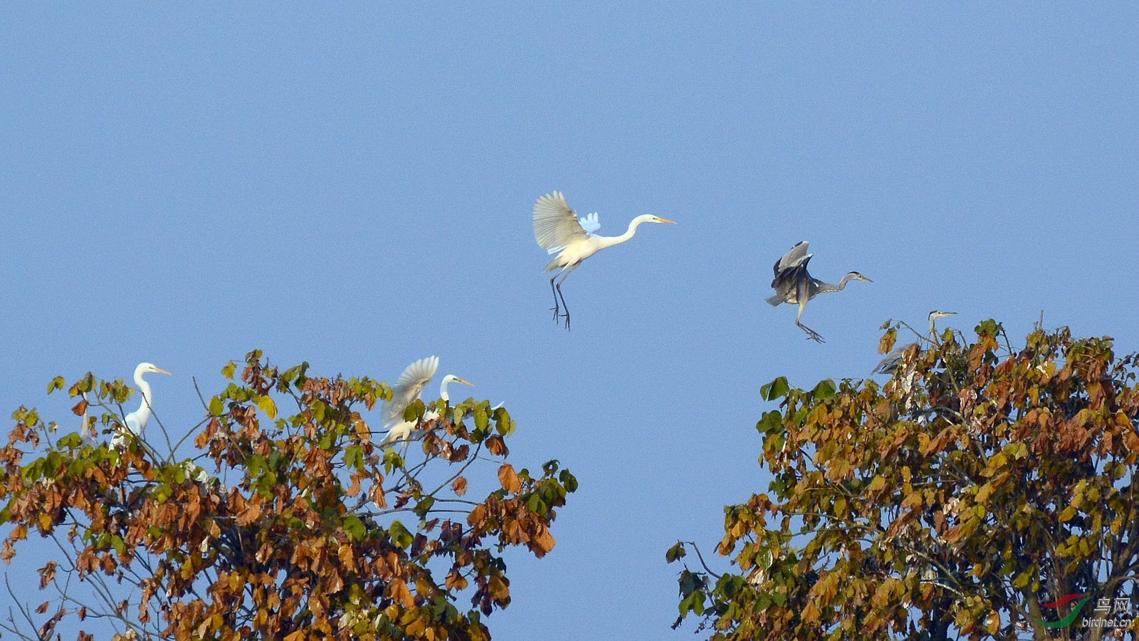DSC_4654.JPG