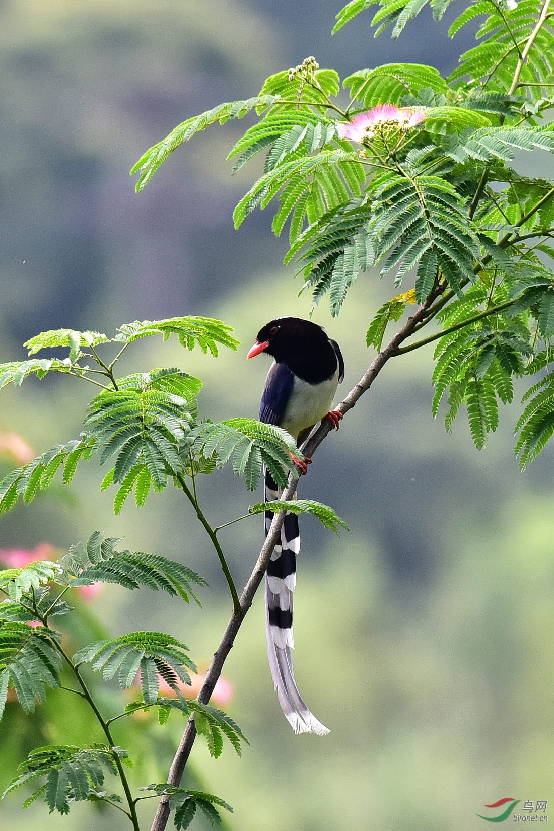 DSC_0880.JPG