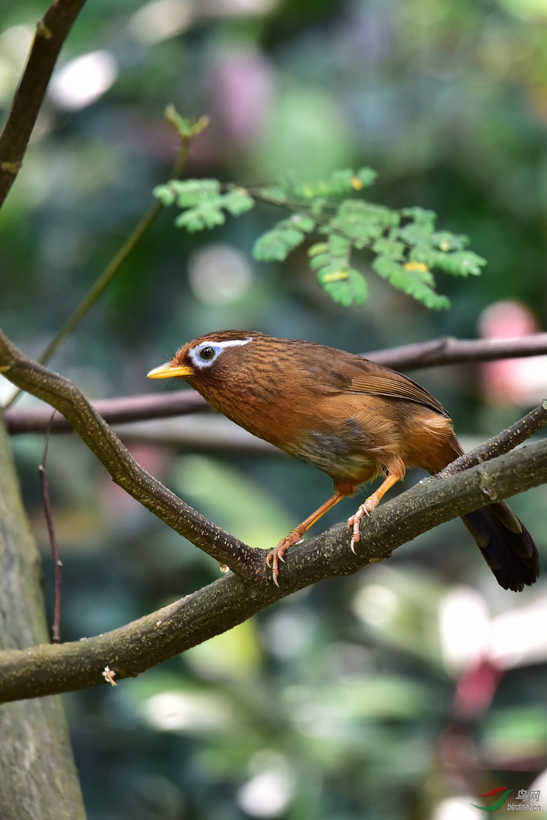 DSC_0450.JPG