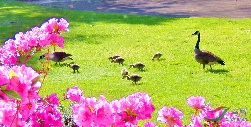 DSCN1404 - Copy_����.jpg