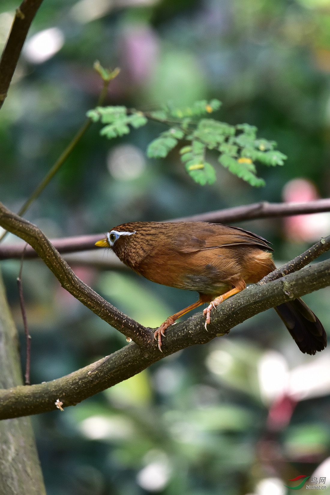 DSC_0451.JPG