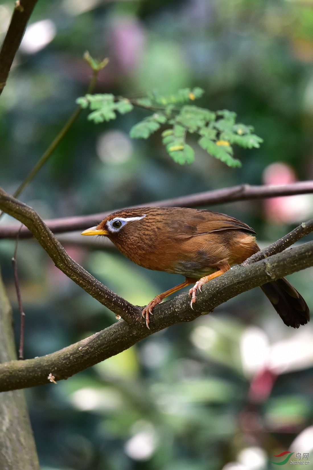 DSC_0452.JPG