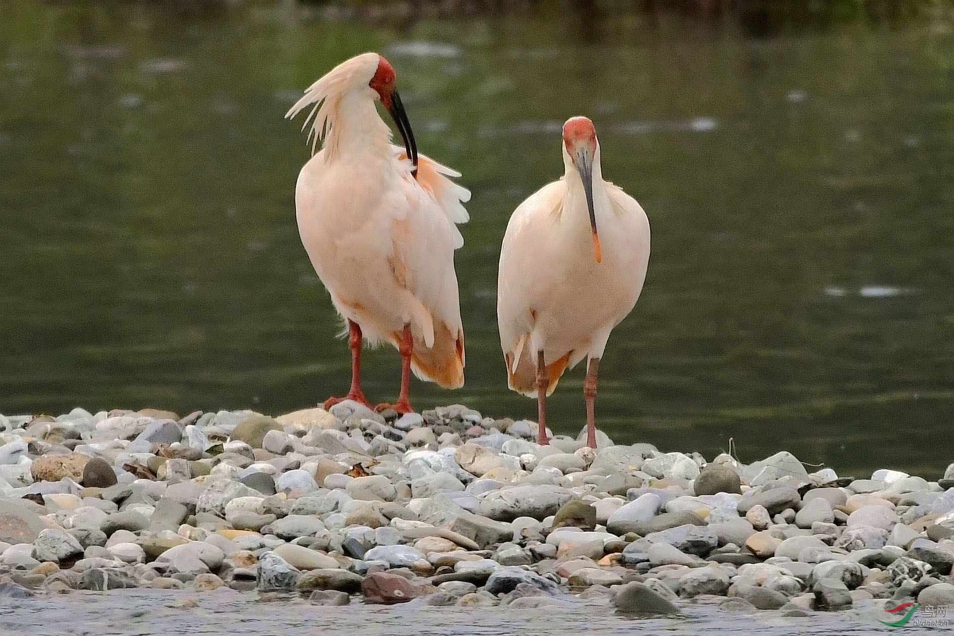 NIKON CORPORATION_NIKON D500_6408256-6411240_000.JPG