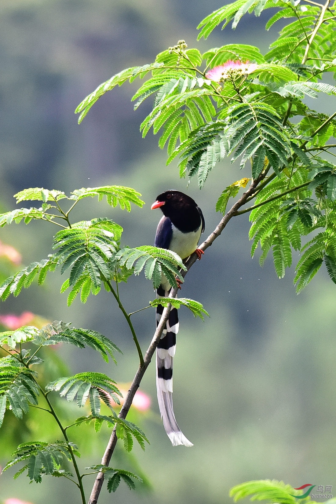 DSC_0886.JPG