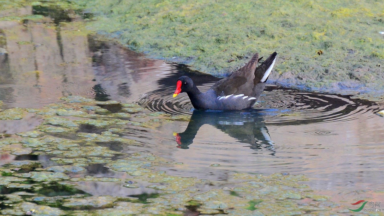 DSC_6220.JPG