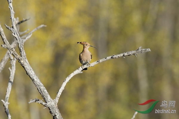 _E8J1589.jpg
